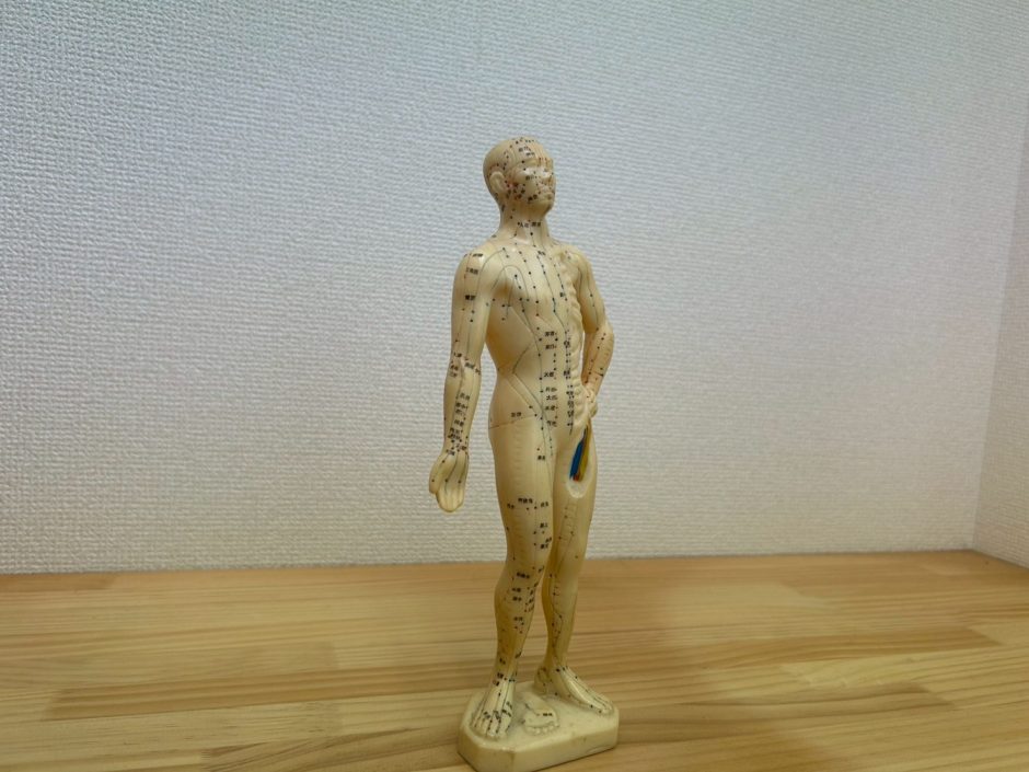 人間の神秘