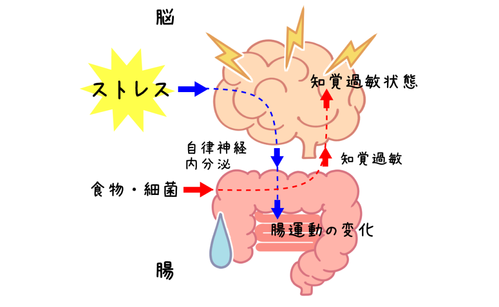 過敏性腸症候群のメカニズム