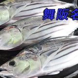 舞阪もちかつを