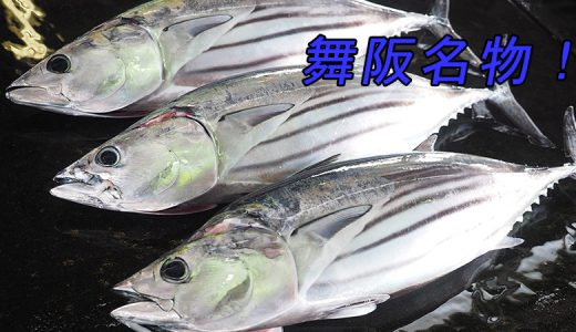 舞阪もちかつを
