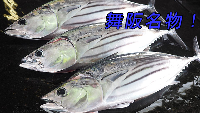 舞阪もちかつを