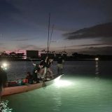 浜名湖たきや漁　クロダイきた～タイワンガザミきたぁ～