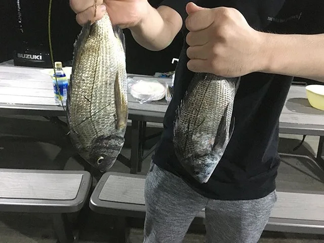 浜名湖たきや漁