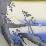 色覚多様性